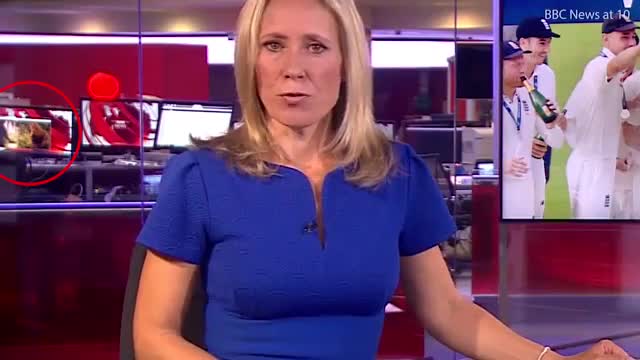 BBC-newsreader-Sophie-Raworth-upstaged-by-graphic-video